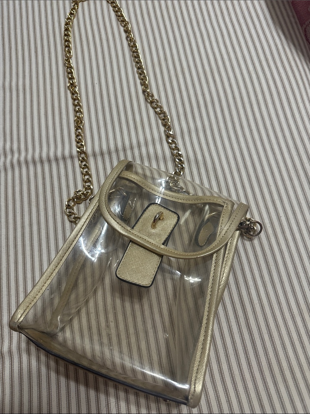 Vinyl Clear Purse